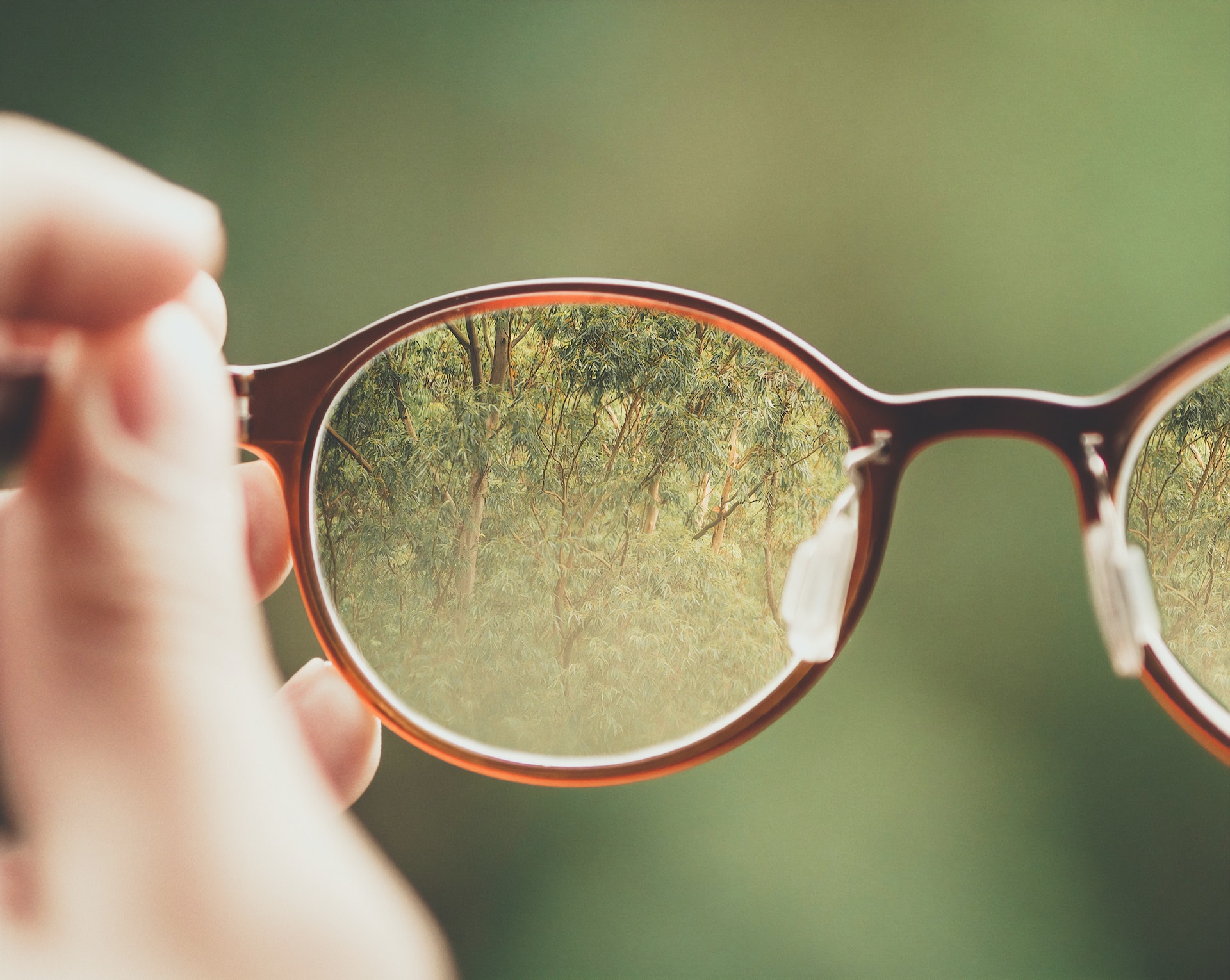 glasses_showing_woodland_through_lens